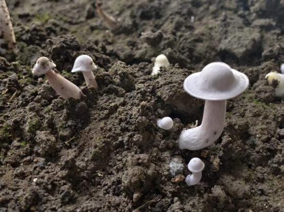 k1体育 - 十年品牌 值得信赖